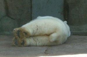 여자들이 반할 수 밖에 없다는 뒷모습 ㄷㄷㄷ.JPG | 인스티즈